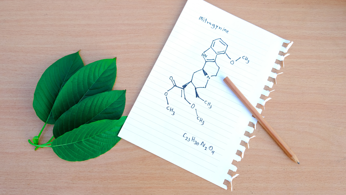 zjistěte, jak dlouho zůstává kratom detekovatelný v krvi a jaké faktory ovlivňují dobu jeho detekce.