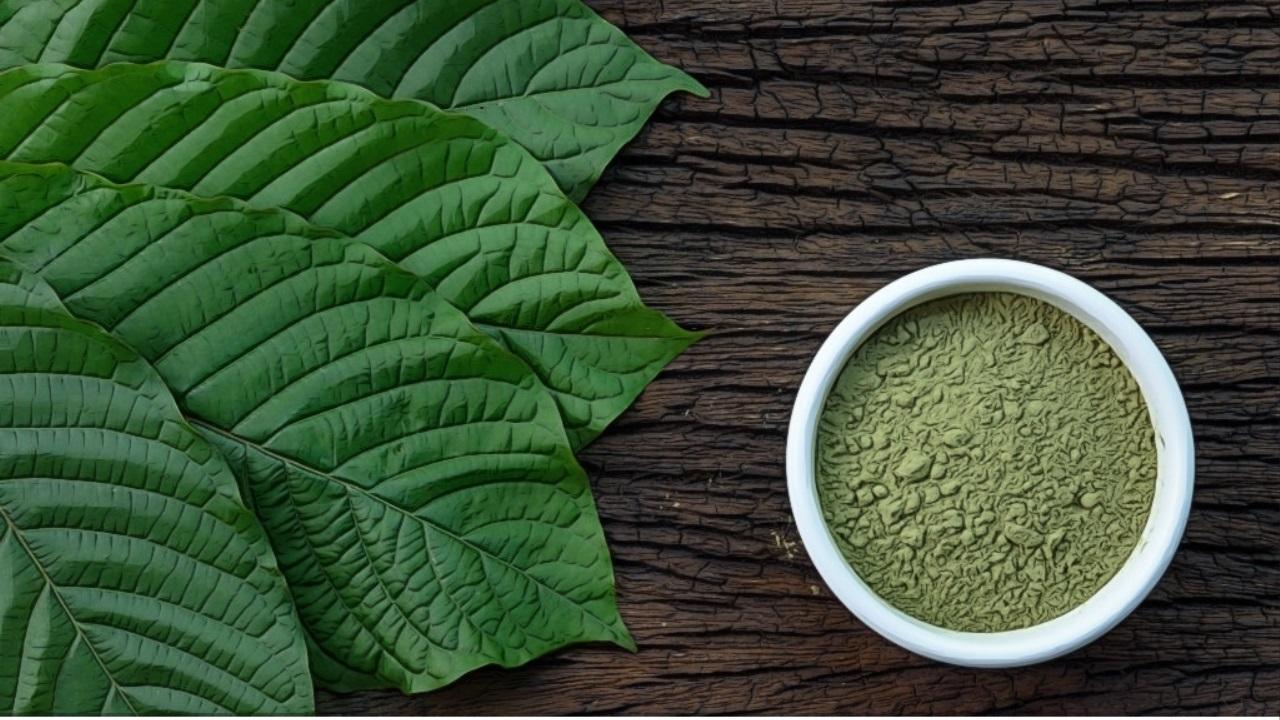 objevte účinky kratom čaje, jeho přínosy pro zdraví a správné způsoby užívání. zjistěte, jak kratom čaj může podpořit vaši pohodu a energii.