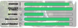 objevte účinky kratomu podle barev a zjistěte, jak každá barva ovlivňuje vaše tělo a mysl. praktické informace pro správný výběr.