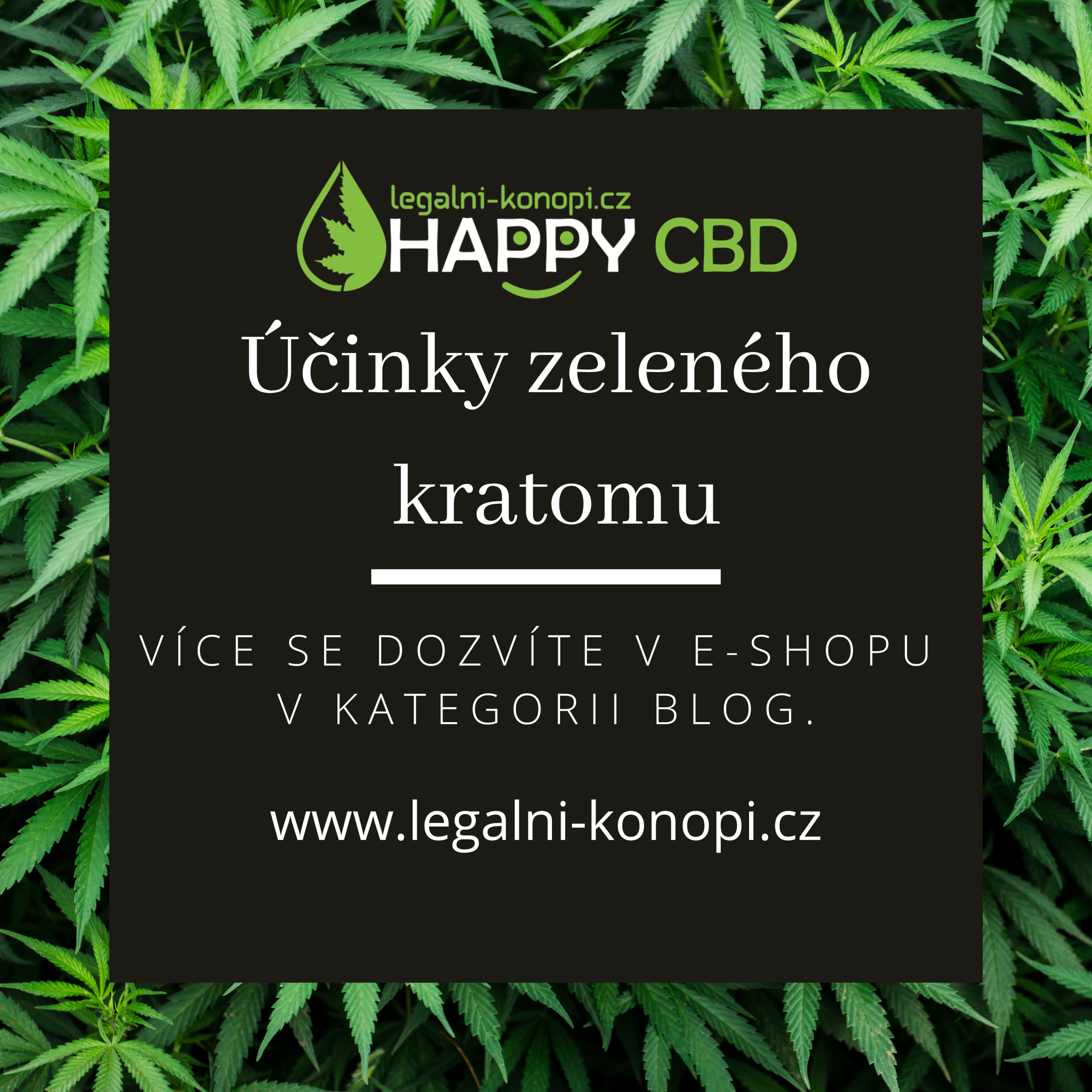 objevte účinky zeleného kratomu, přírodního doplňku známého pro své stimulační a relaxační vlastnosti. zjistěte, jak může podpořit vaši energii a náladu.