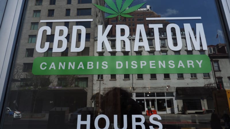 zjistěte vše o legálním nákupu kratomu v české republice. informace o zákonech, bezpečných prodejcích a užívání kratomu.
