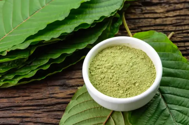 objevte účinky a význam žlutého kratomu. informace o jeho použití, přínosech a bezpečnosti pro lepší pochopení tohoto jedinečného doplňku.