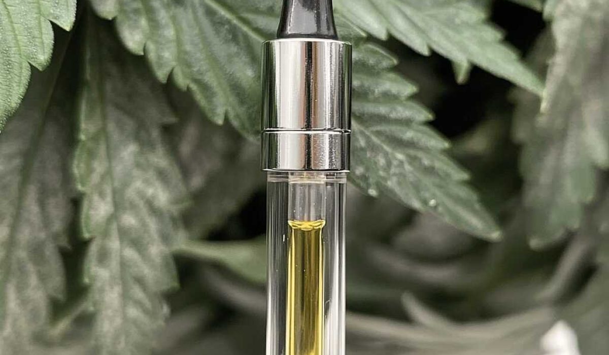 objevte, jak kratom může pomoci zlepšit kvalitu vašeho spánku a podpořit hlubší a klidnější odpočinek.