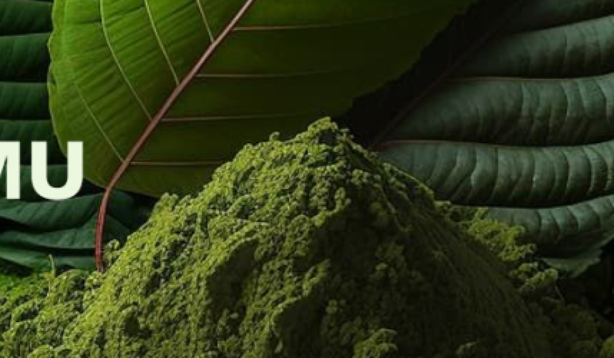 objevte účinky a správné použití kratom prášku. naučte se, jak tento přírodní produkt může podpořit vaši pohodu a energii.