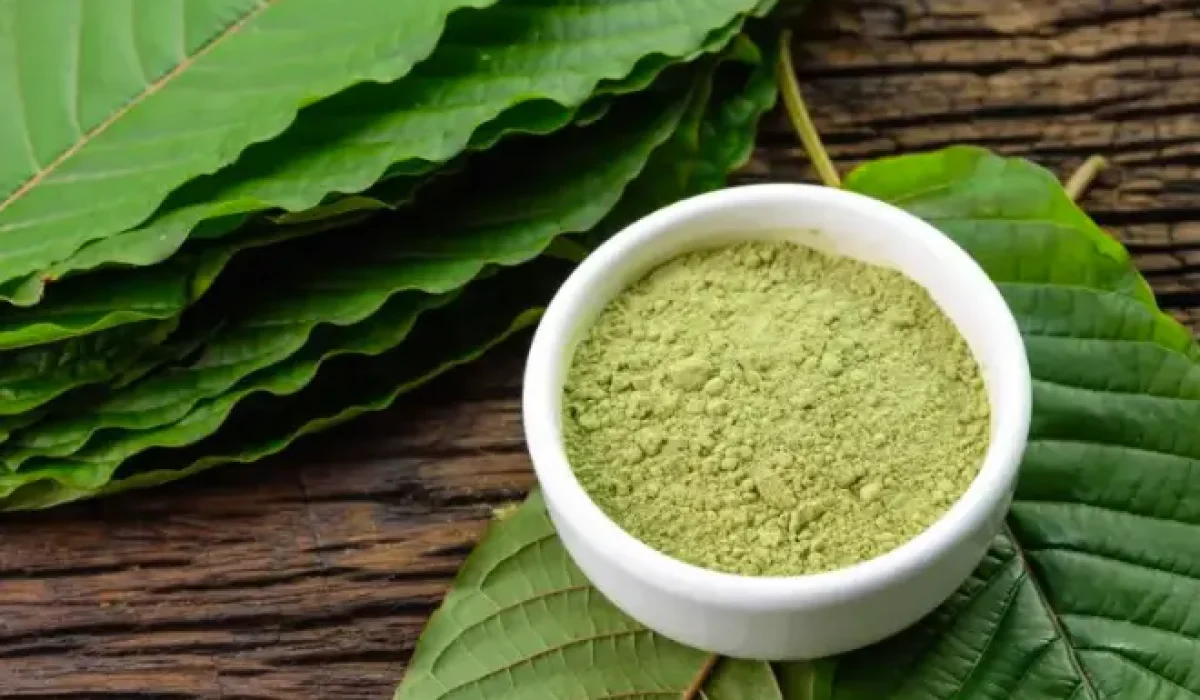 objevte účinky a význam žlutého kratomu. informace o jeho použití, přínosech a bezpečnosti pro lepší pochopení tohoto jedinečného doplňku.